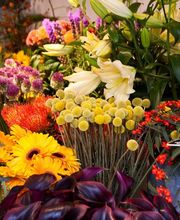 Veiling vers onze bloemen