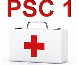 2PJformation image 8