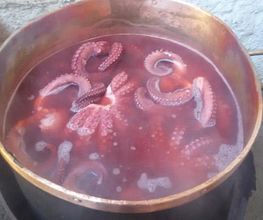 casa-do-pulpo-pulpo-gallega-03.jpg