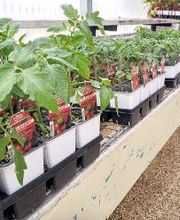 Johansen Landscape & Nursery image 17