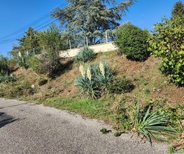 Rey Paysage image 2