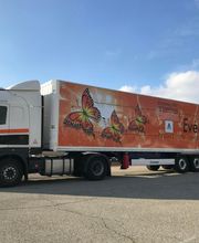 Channelfret International image 7