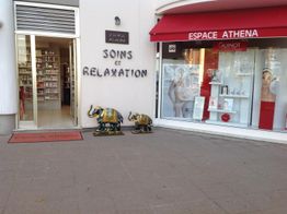 Espace Athena