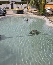 Jardines Vladimir S.L imagen 12