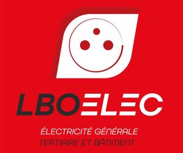 Lbo Elec image 7