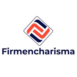 Firmencharisma - SEO & Webdesign aus Wolfsburg