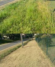 Main verte & Tournevis image 12