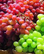 Société Valérie Prim image 1