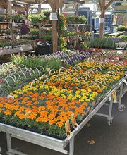 Bricomarché La Loupe image 7