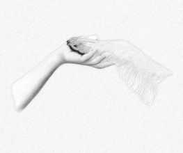 Coup d'Patte image 7