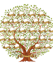 Séverine Dewarez image 8