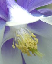 PRAXIS FÜR GEISTIGES HEILEN Bild 4