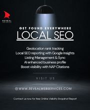 Reveal Web Services image 6