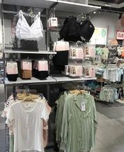 Orchestra BERCK image 20