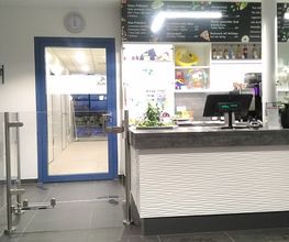 WIRO Schwimmhalle Gehlsdorf Bild 6