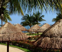 Sunset Marina Resort & Yacht Club imagen 12