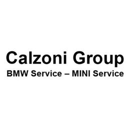 Calzoni Group logo