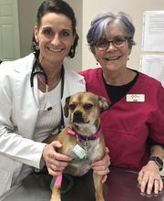 The Pet Wellness Group: Florence image 8