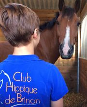 Club Hippique De Brinon Sur Sauldre image 2