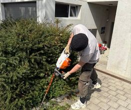 Gartencoach Dario Peyer Bild 1