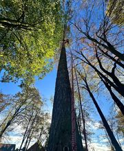 Christopher Schielke Ausbilder Baumpflger