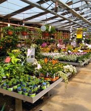 Gartenland Rabovsky e.K. Bild 10