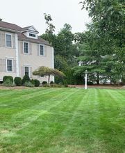 Brace Lawn Care image 18