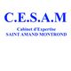 Cesam Diagnostics - Diagnostic immobilier Saint Amand Montrond Diagnostiqueur, Plomb DPE Amiante