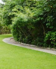 Établissement LG image 4