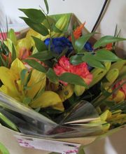 Bruckner Anne Marie image 10