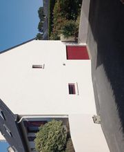 N.P.P image 3