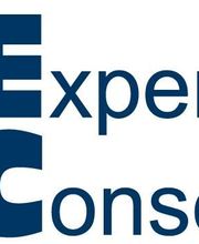 NF Expertise Conseil image 2