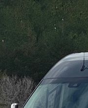 Fleet and Goo Minibus imagen 3