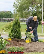 Lemarinier Paysage SARL image 1