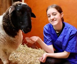 Tierklinik Leimental Bild 6
