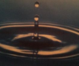 Sea Zen Beaute image 6