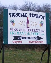 Vignoble Tévenot image 8