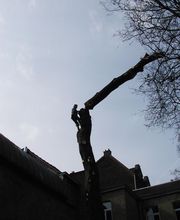 Rochefort Bois image 12