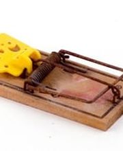 AXEL Schädlingsbekämpfung e. K. Bild 1