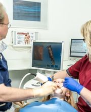 Zahnarzt Michael Kirches Bild 4