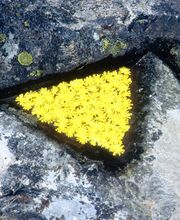 Lebender Harald, Landschaftsarchitekt Bild 5