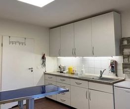 Tierarztpraxis Rüdiger Endt Bild 2