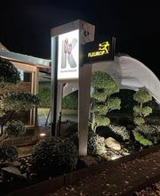 Blumen Kaiser Bild 8