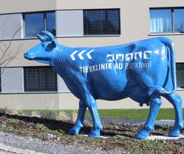 Tierklinik Au AG Bild 2