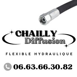 Chailly diffusion
