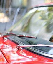 Bauer GmbH Autoglas-Service Bild 6