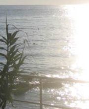 Udo Bayer Heilpraktiker für Psychotherapie Bild 6