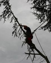 A Fleur d'Ecorce EURL image 9