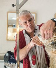 Profil Canin image 16