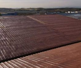 Proyectados MiRic Toledo imagen 7